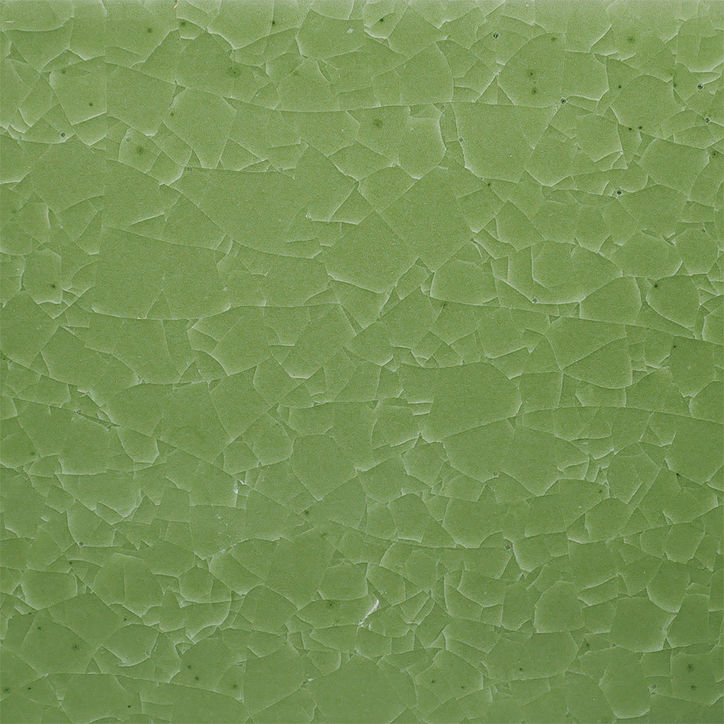 kao@ AMACO KI-46 Frozen Fern – Clayscapes Pottery, Inc